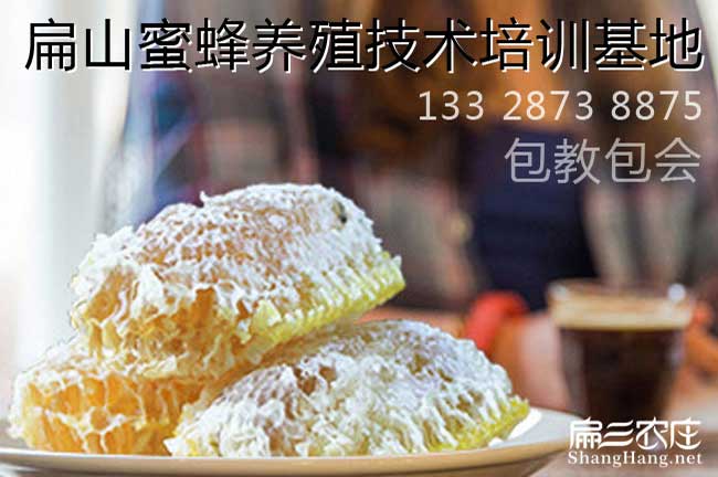 福建蜜蜂養殖技術培訓