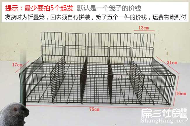 竹鼠籠子批發