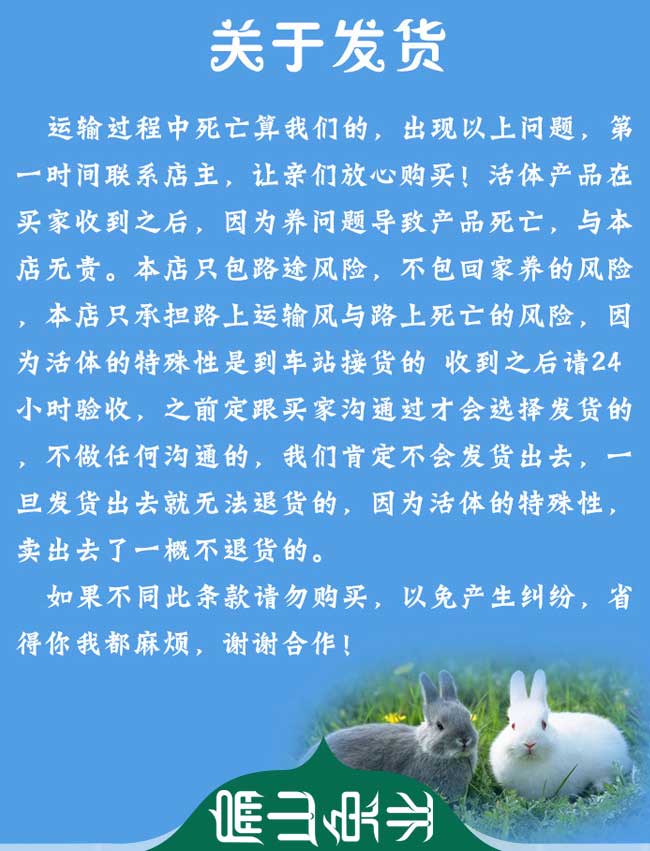 竹鼠售后發貨