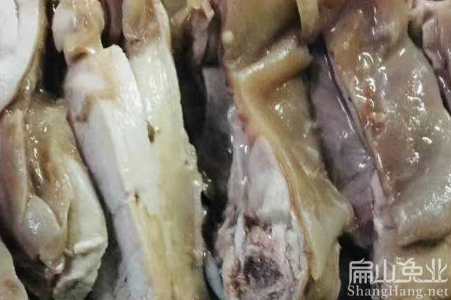 舊縣兔肉批發