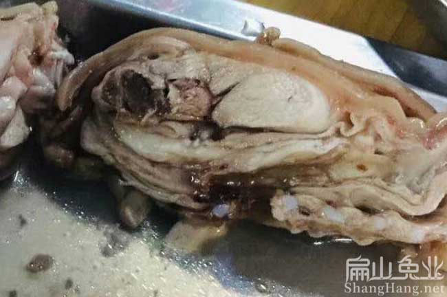 龍巖兔肉批發