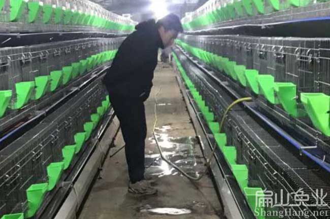 竹鼠養殖場