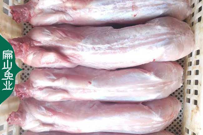 惠州兔肉批發