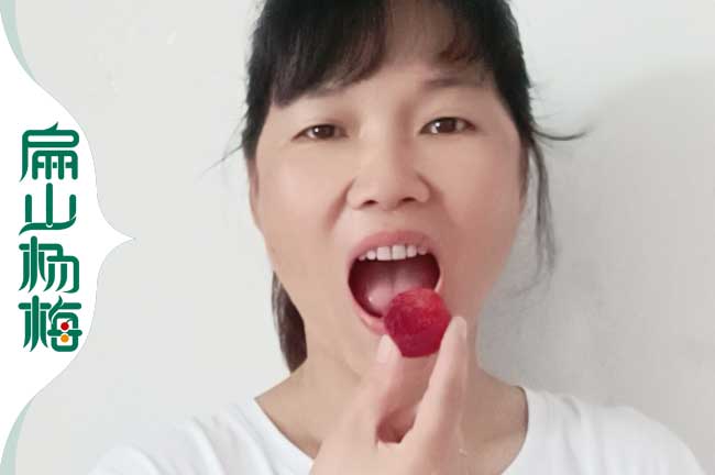 益陽楊梅批發