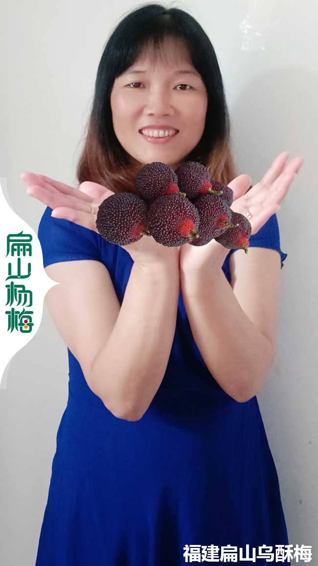 黃南烏梅批發