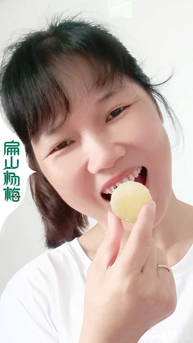 白楊梅苗 麗江水晶東魁白沙楊梅苗標準批發基地 地徑1-3分