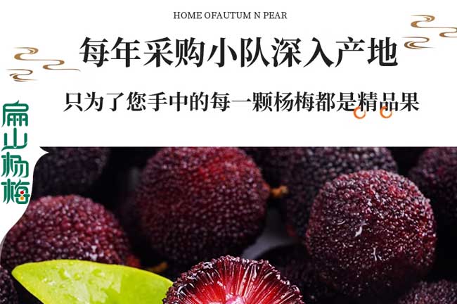 來賓楊梅批發