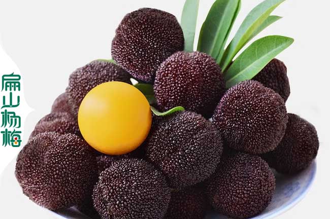 孝感烏梅批發