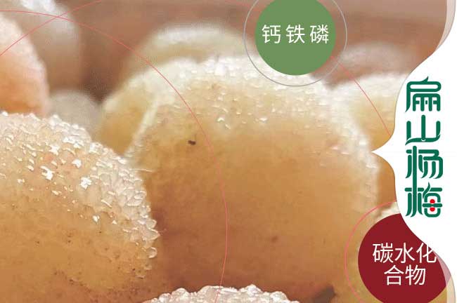 小杯楊梅鷹潭種苗 鷹潭楊梅苗培育規?；a基地9元/珠