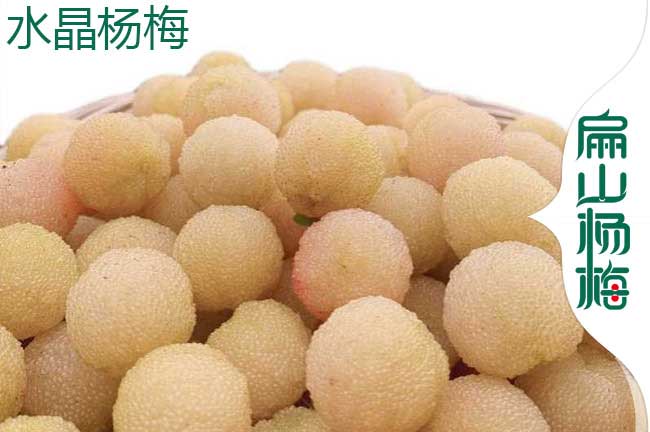 鎮江水晶楊梅批發