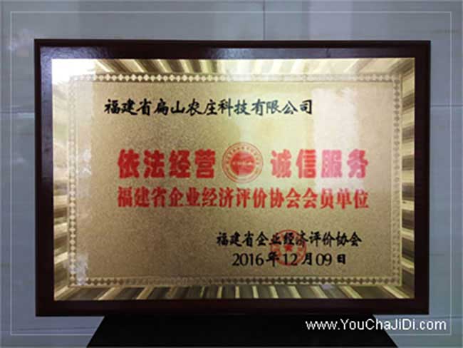 云梯油茶苗的整形修剪