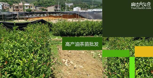 □ 銀涂鎮江西贛石贛 □ 銀涂鎮江西贛石贛