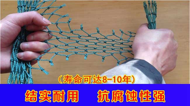 □ 銀涂鎮茶樹苗高度 □ 銀涂鎮茶樹苗高度