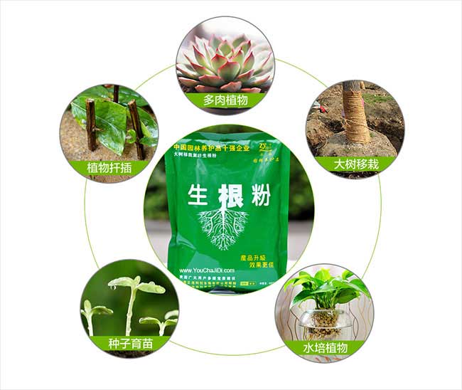 濉溪鎮中國人喜歡喜歡 濉溪鎮中國人喜歡喜歡