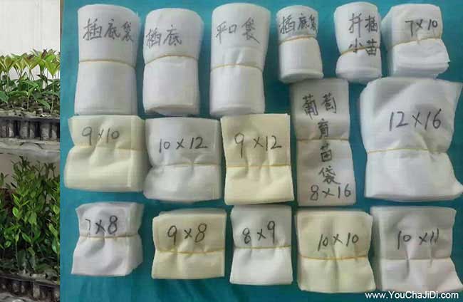 □ 前鋒鎮哪個省份的 □ 前鋒鎮哪個省份的