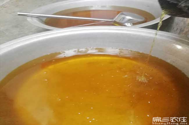 廣西好油茶