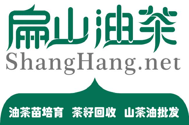 山茶油批發