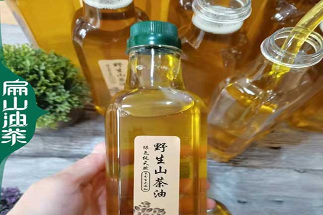 中國廣東野生茶油銷路 廣西茶籽收購湖南四川油茶基地-扁山油茶
