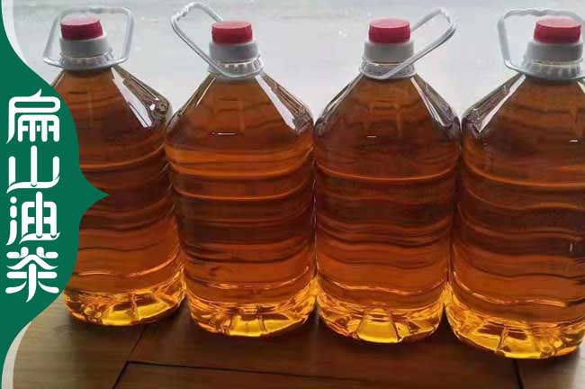 河源茶油批發