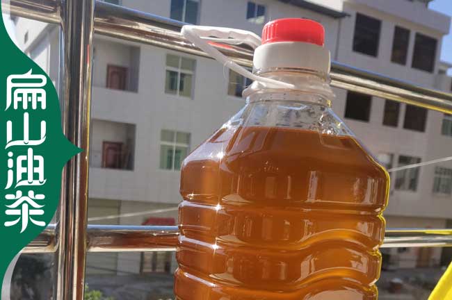 邵陽茶油批發
