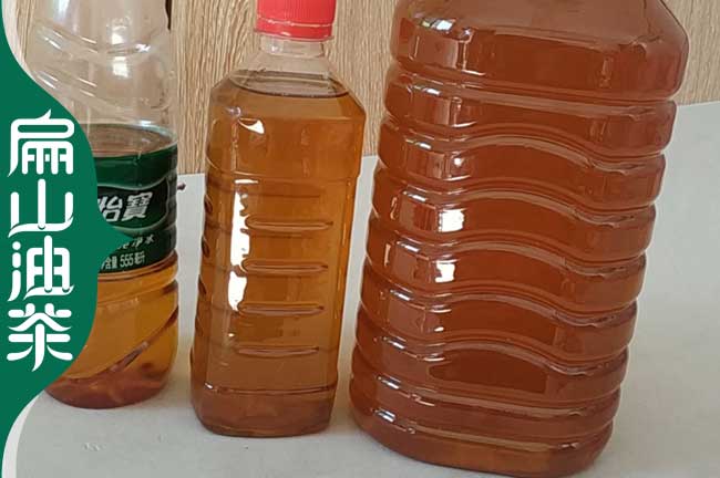 崇左茶油批發