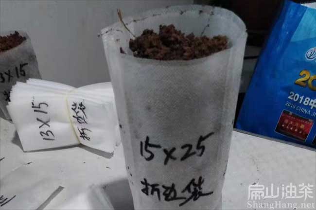 湖南育苗袋批發