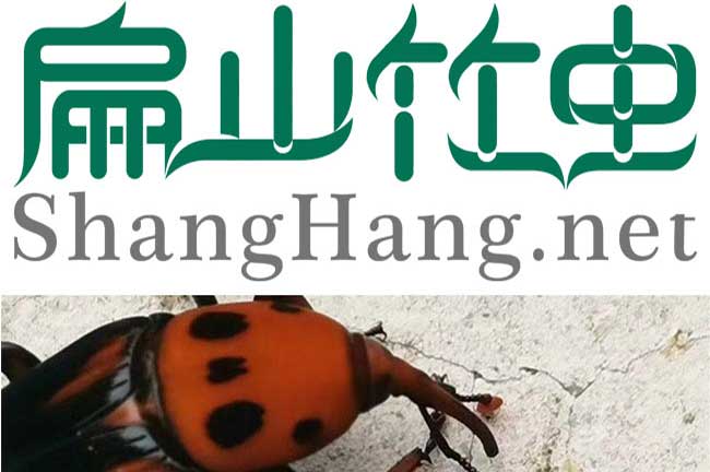 龍巖竹蟲養殖