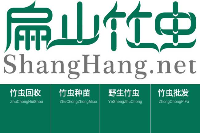 欽州竹蟲養殖合作加盟回收加工公示 欽州竹蟲種苗-扁山竹蟲