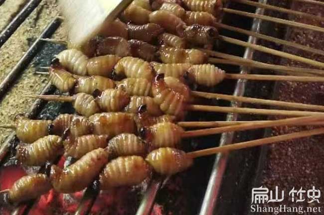 扁山竹蟲吃什么？主食面粉和椰糠食物 竹蛆蟲怎么喂養