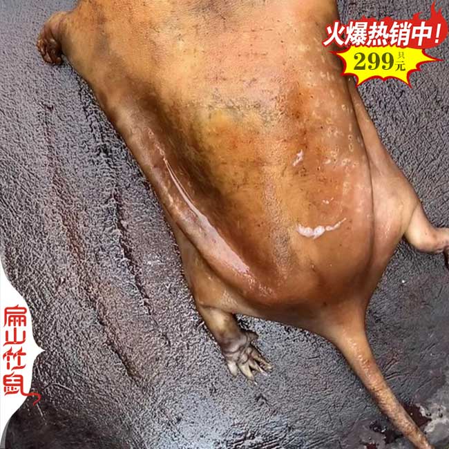 貴州竹鼠養殖