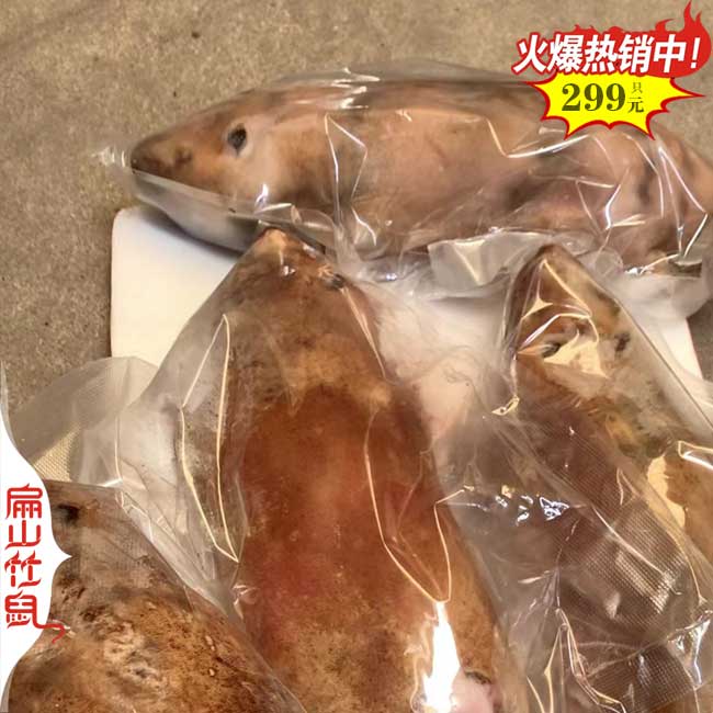 規?；?024十堰隨州竹鼠豚鼠竹鼠養殖基地 種苗1斤1公2-3母