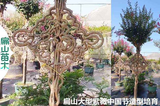 江西紫薇中國節造型