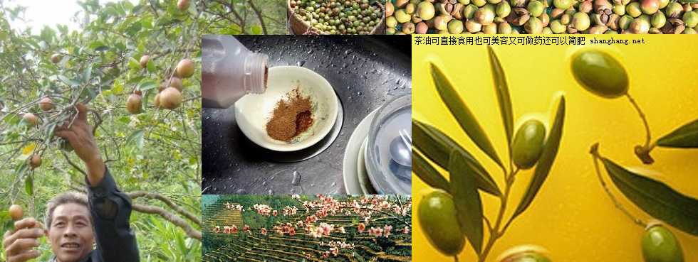 潡ˎÃrֵ