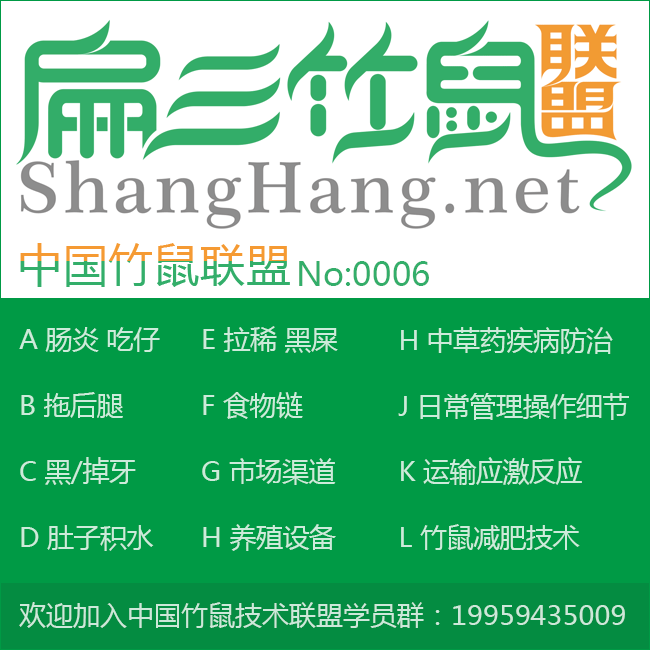 2024福建規模竹鼠養殖基地 龍巖種苗多少錢一對竹鼠種苗？