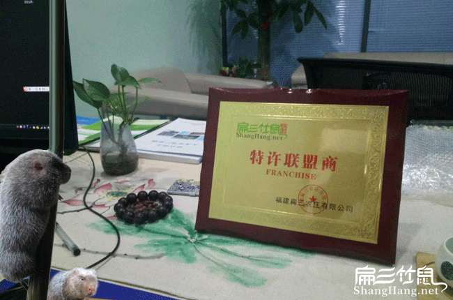 竹鼠養殖加盟 