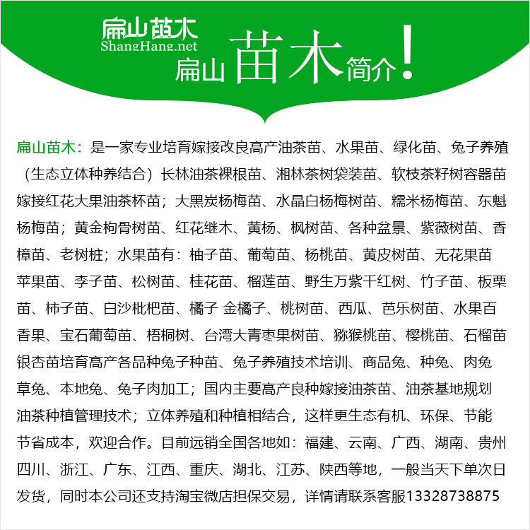 扁山苗木公司簡介