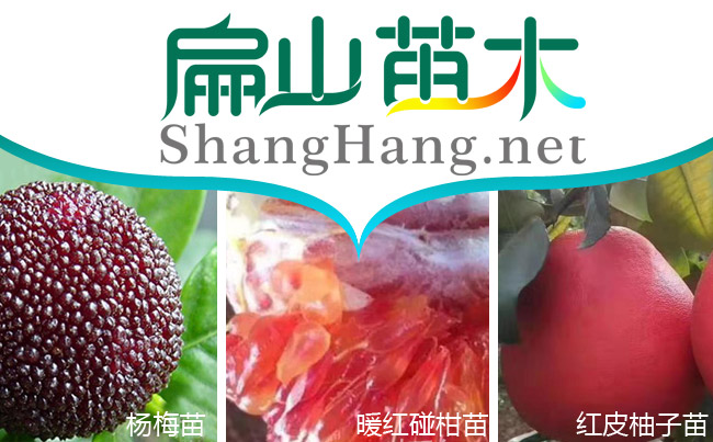 中國水果苗培育