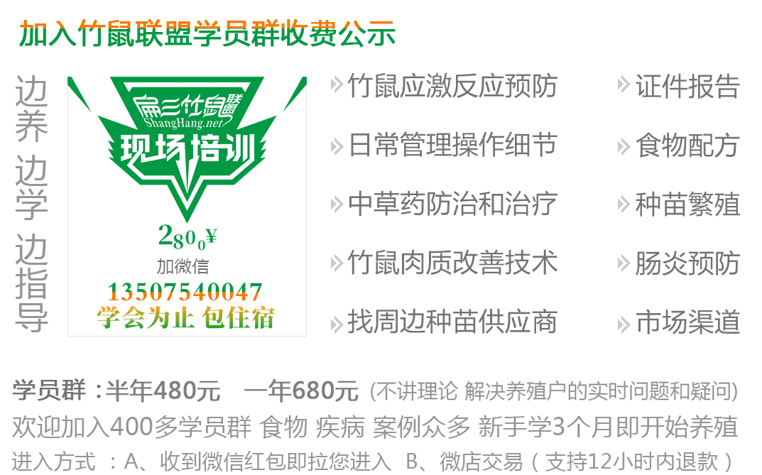 江蘇竹鼠養殖現場培訓