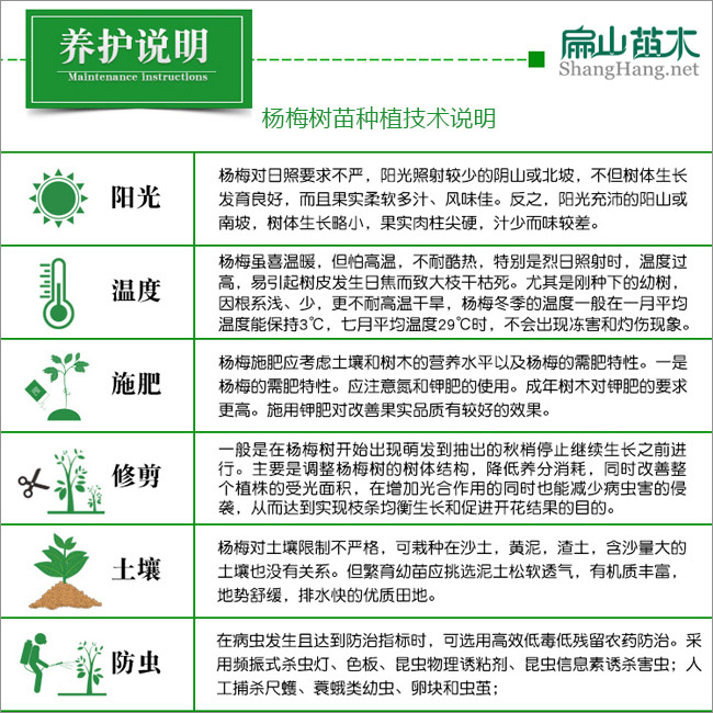 油茶種植技術