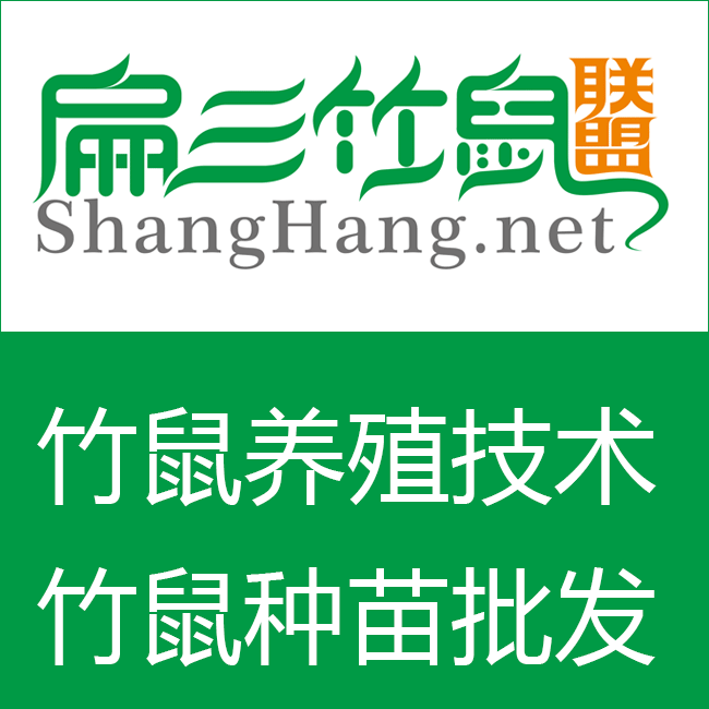 扁山竹鼠種苗批發