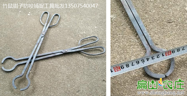 竹鼠養殖工具